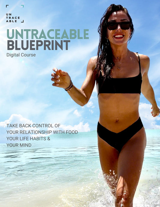 4 WEEK Untraceable Blueprint by Tracy Harmoush